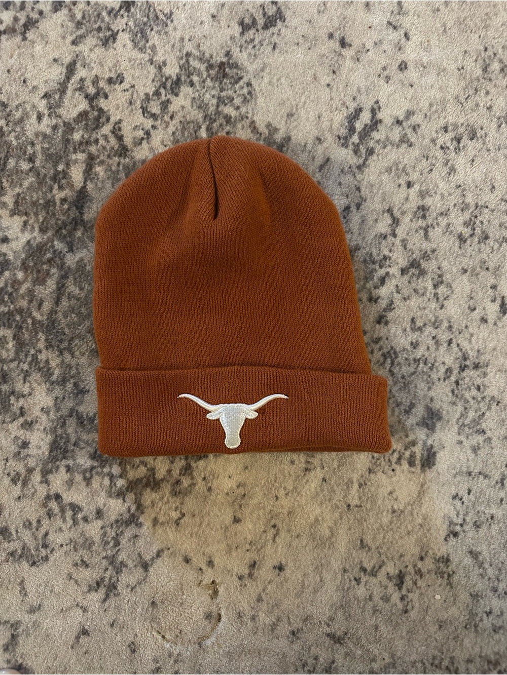 Embroidered Longhorn Beanie